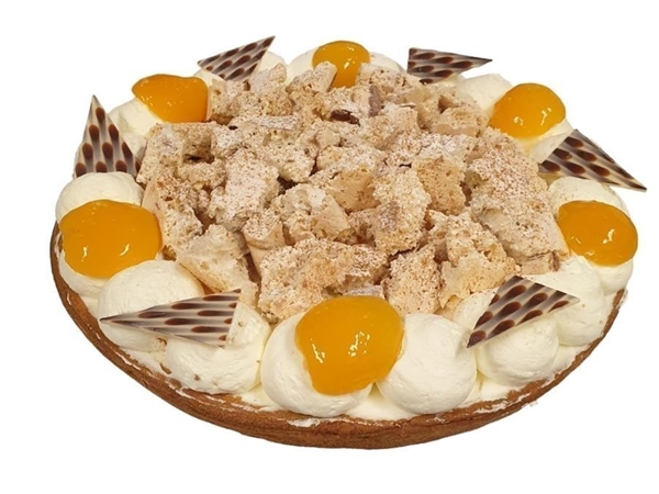 Progress Abrikoos gist